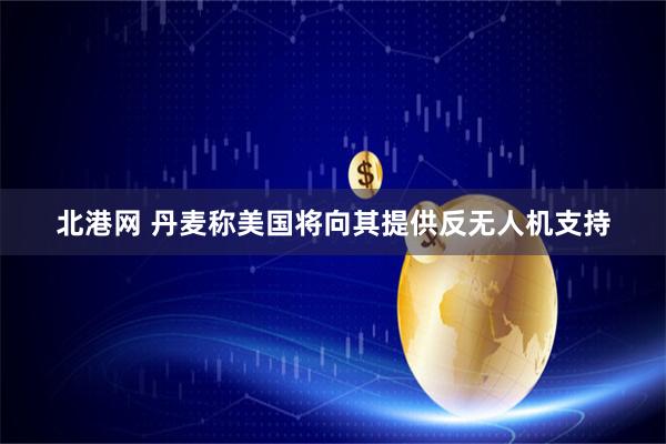 北港网 丹麦称美国将向其提供反无人机支持