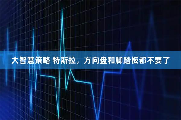 大智慧策略 特斯拉，方向盘和脚踏板都不要了