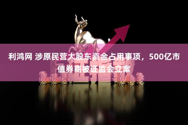 利鸿网 涉原民营大股东资金占用事项，500亿市值券商被证监会立案